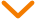 angle down icon