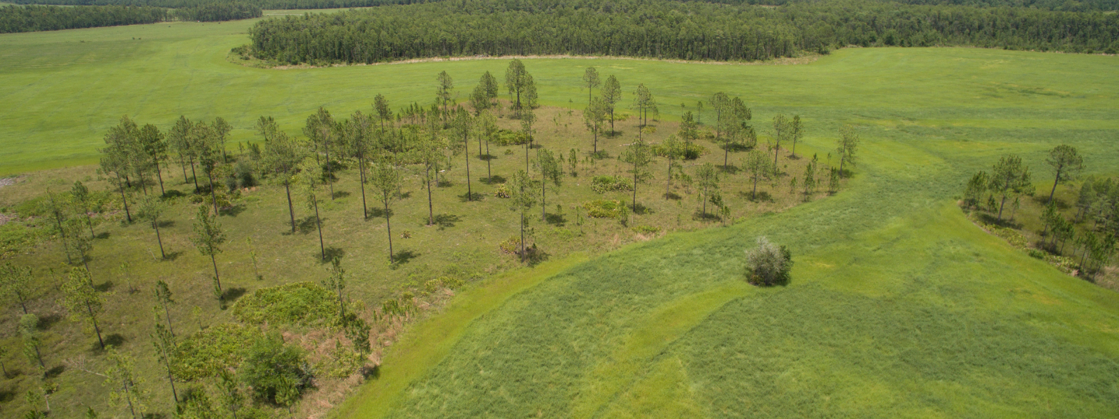 Dean Saunders Brokers 68 Million in Conservation for 2023