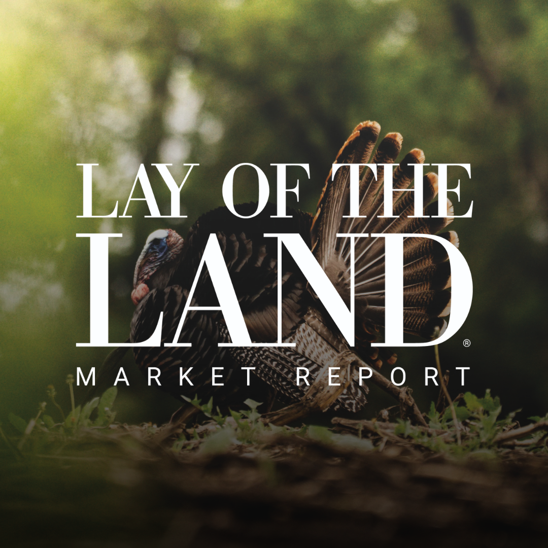 New Arkansas Land Report Reveals Farmland Momentum, Resilient Recreational Demand, and Widening Development Land Values