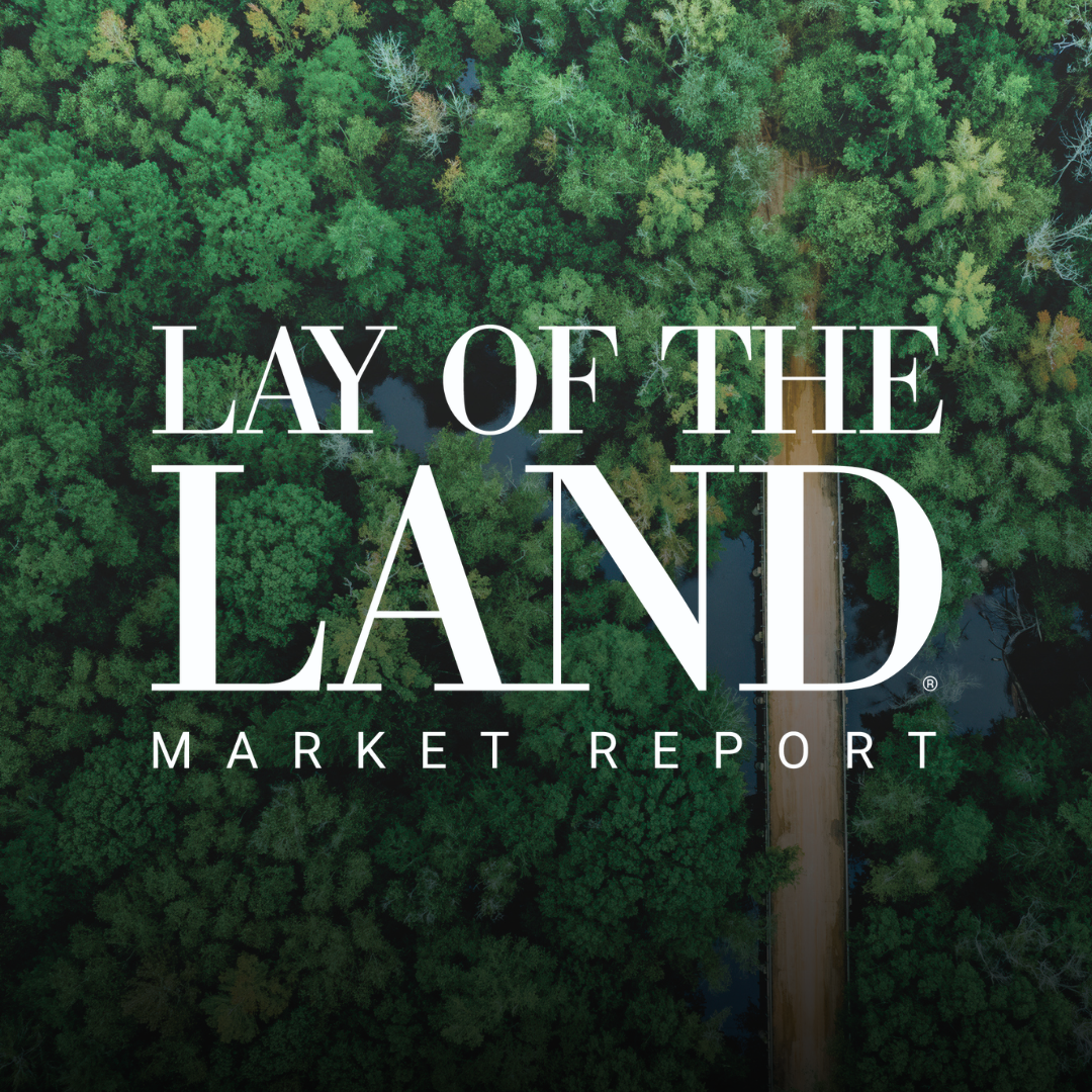 Georgia Land Market Splits as New Data Shows Clear Divide in 2026
