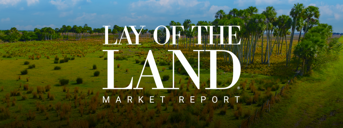 market report logo overlaid a florida landscape