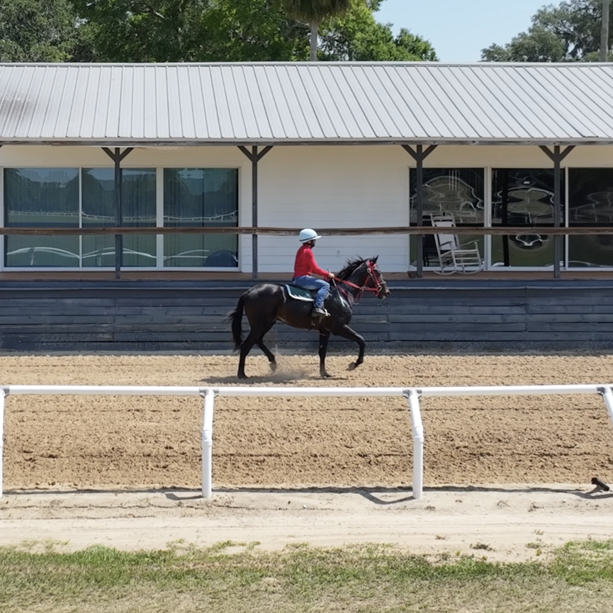 Sell Your Horse Property SVN Saunders Ralston Dantzler