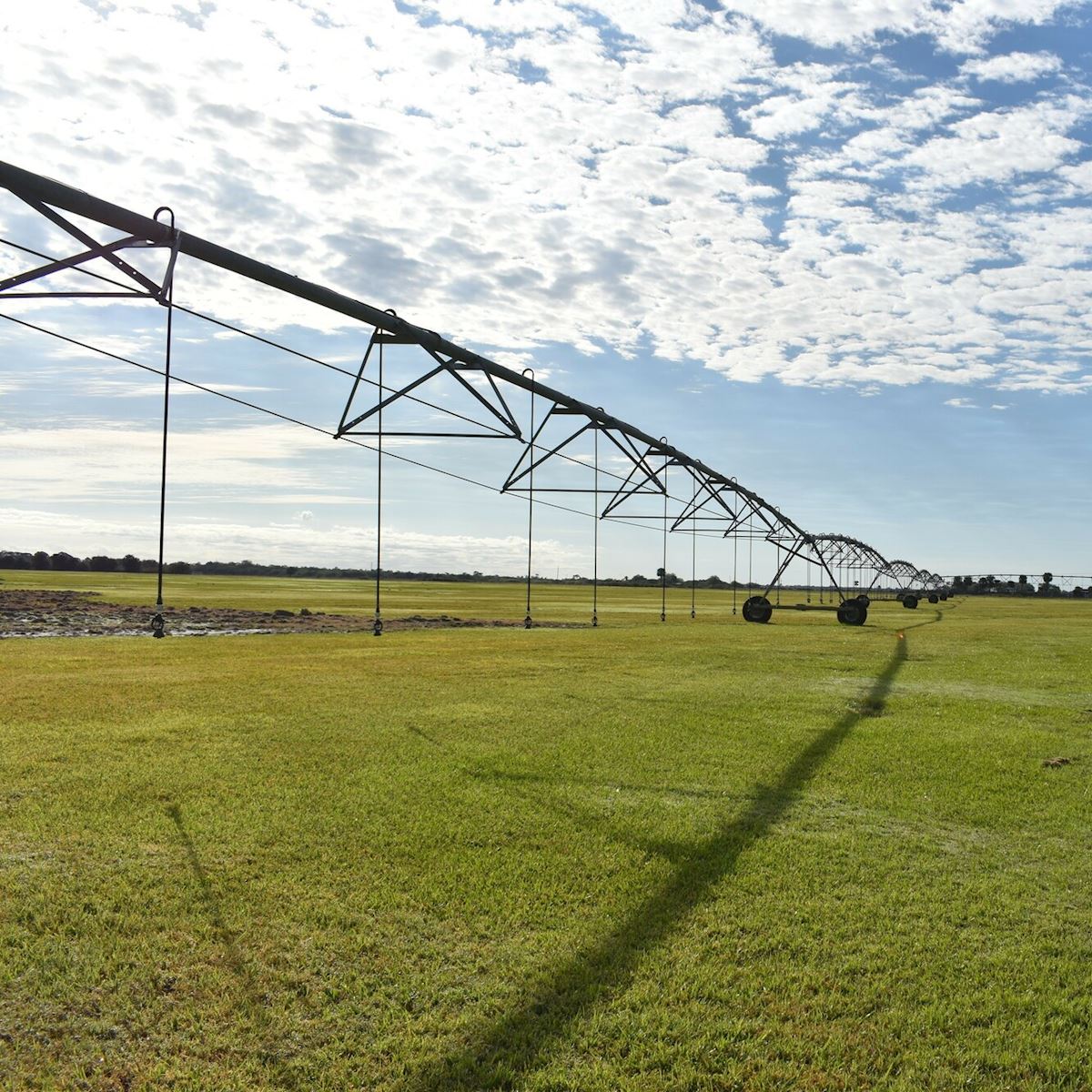 35 Million Florida Land Sale SVN Saunders Ralston Dantzler