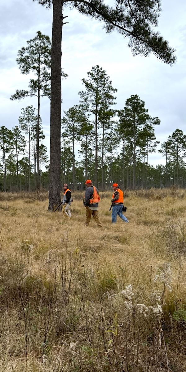 Florida Hunting Lease Considerations Saunders Ralston Dantzler