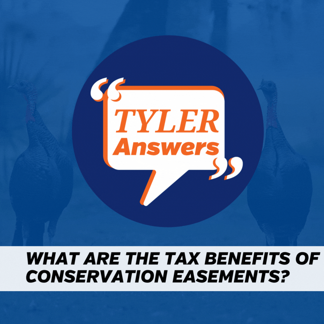 Conservation Land for Sale in Florida &