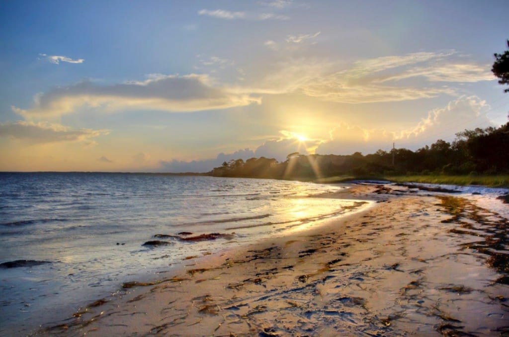 Dean Saunders, ALC, CCIM Brokers 43 Million Conservation Land Sale to