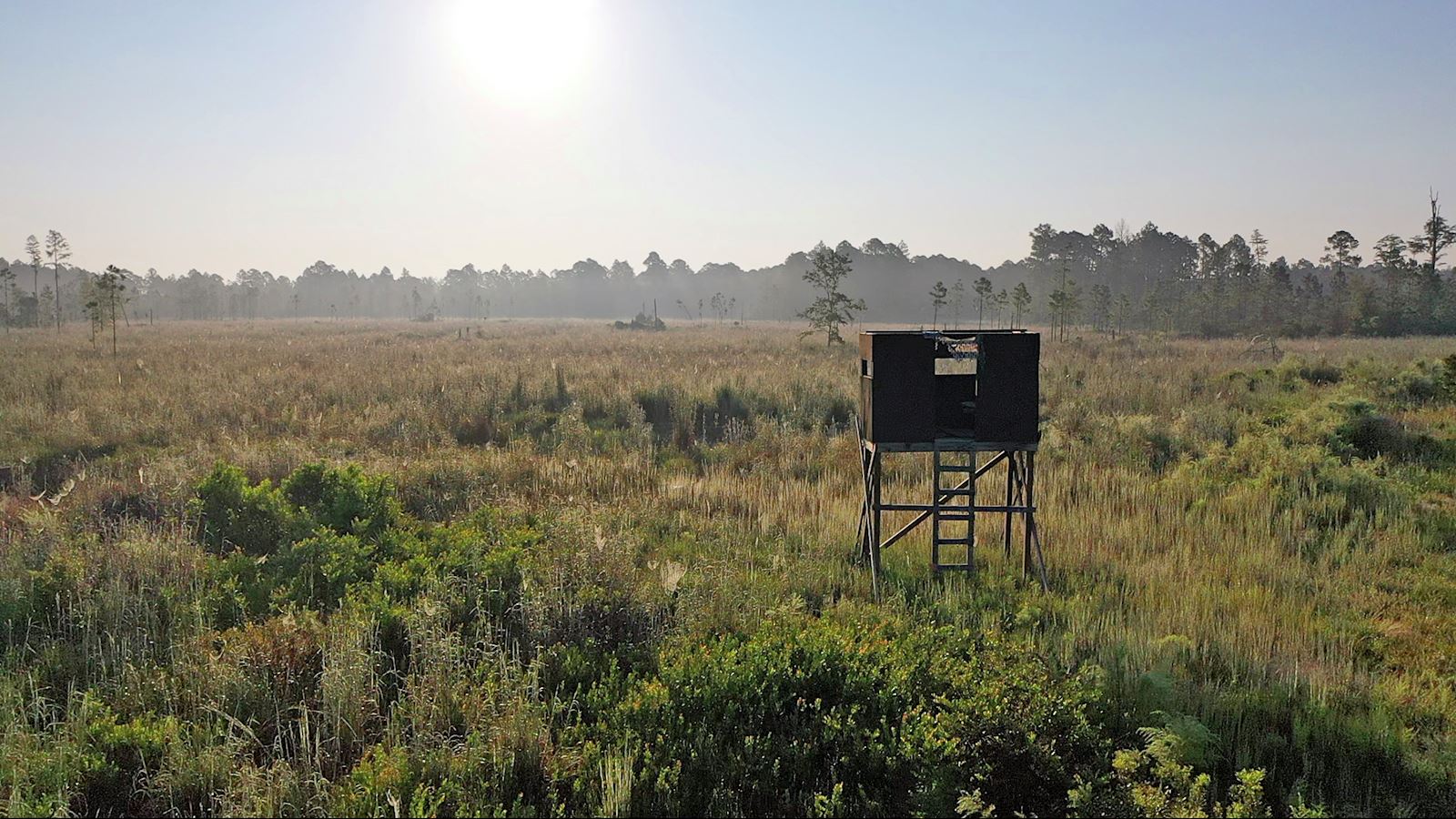 Hunting Land for Sale in Florida and SVN Saunders Ralston