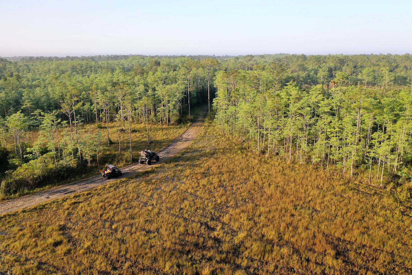 Land and Commercial Property Auctions SVN Saunders