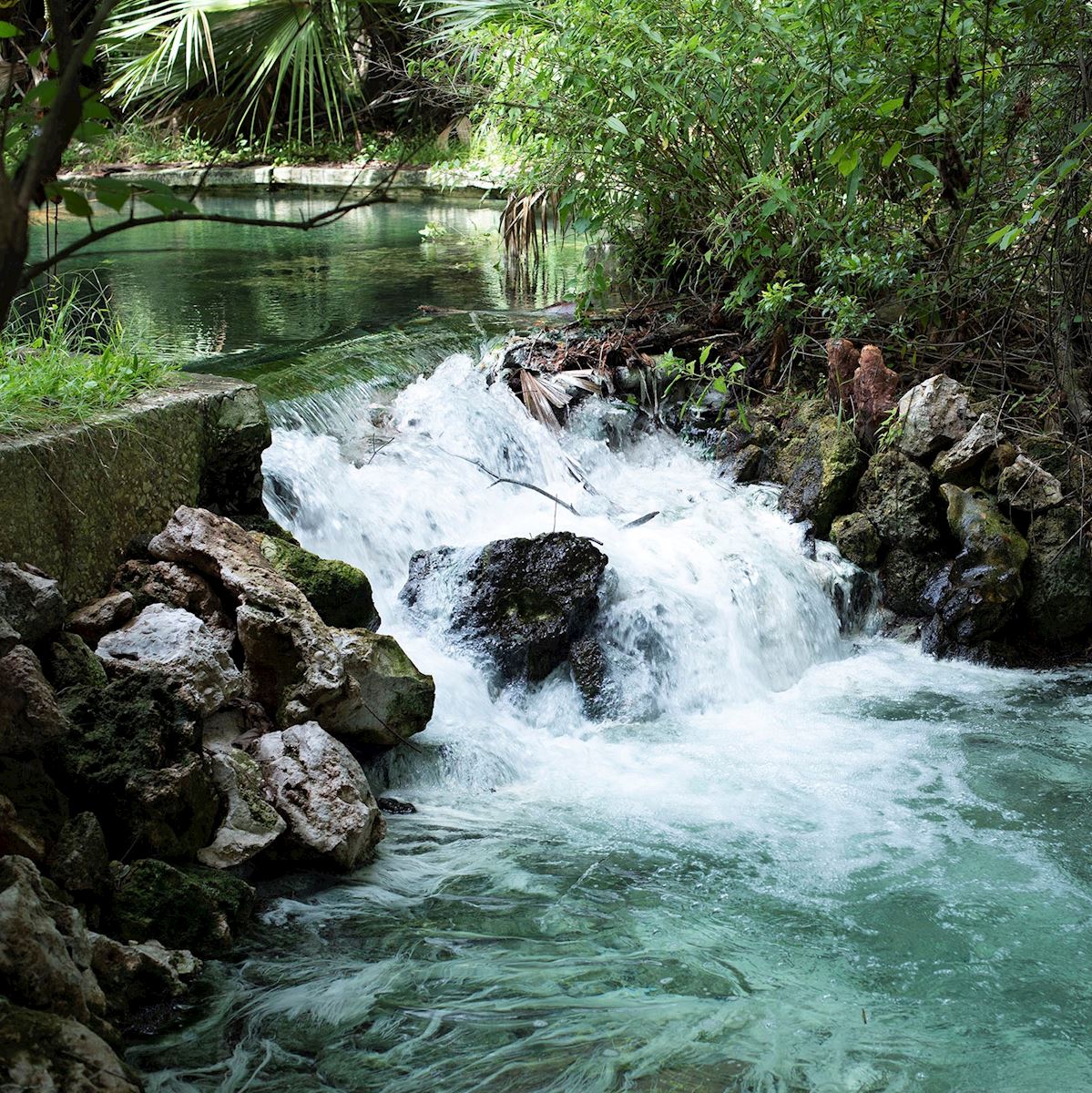 Waterfront Property for Sale SVN Saunders Ralston Dantzler