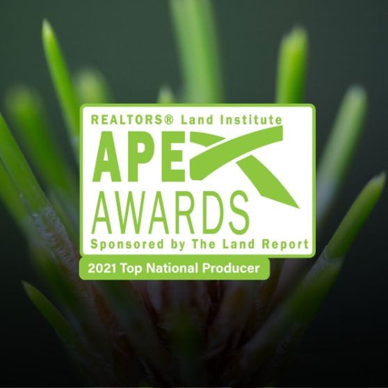 The United States Top Real Estate Agent 2021 SVN Saunders