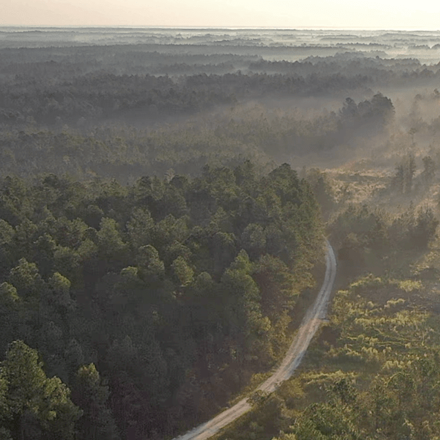 17,956 Acres of Timberland Sold SVN Saunders