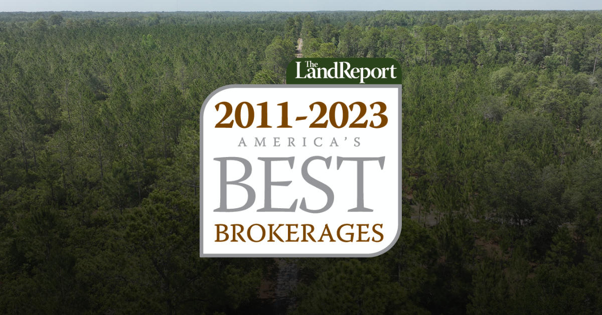 Svn Saunders Ralston Dantzler Real Estate 2023 Best Brokerage | SVN Saunders Ralston Dantzler